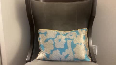 pluz69 online show from 8, 1, 2026