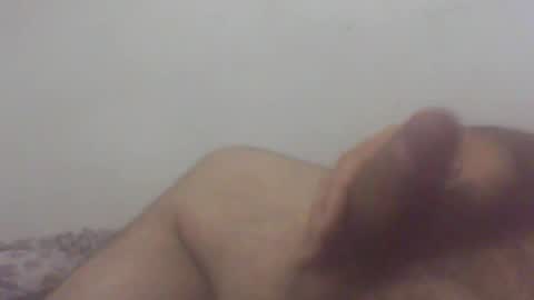 pol2023 online show from 12, 11, 2025