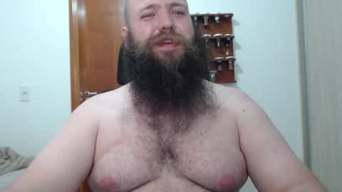 Bear online show from 16, 2, 2025