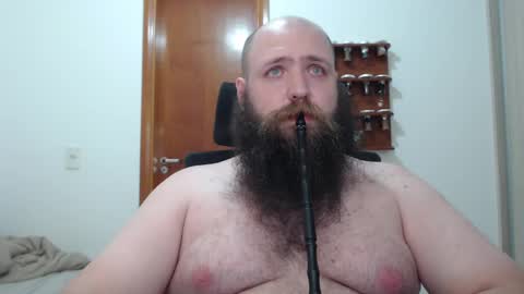 Bear online show from 16, 2, 2025