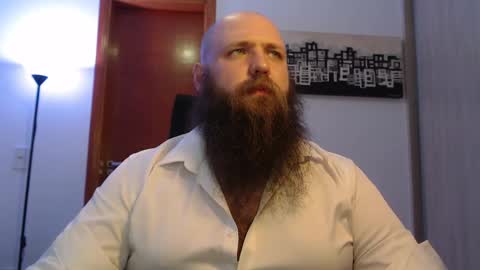 Bear online show from 2, 3, 2025