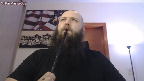 Bear online show from 5, 10, 2025