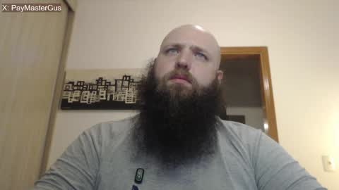 Bear online show from 2, 4, 2026