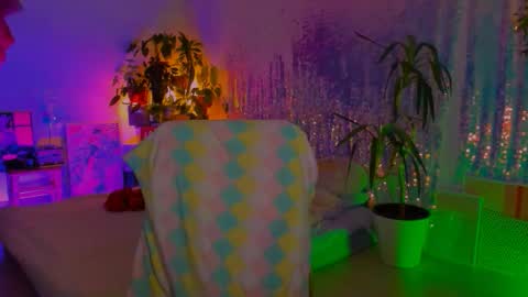 Martha online show from 31, 1, 2026