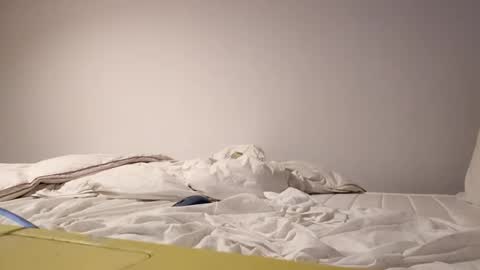 Pollonreus online show from 13, 11, 2025