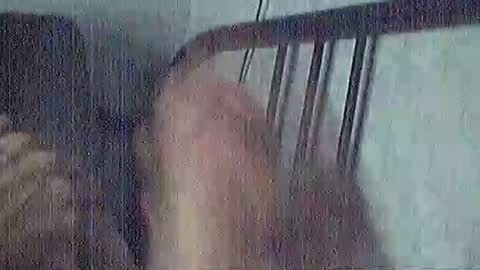 polochar online show from 15, 3, 2026