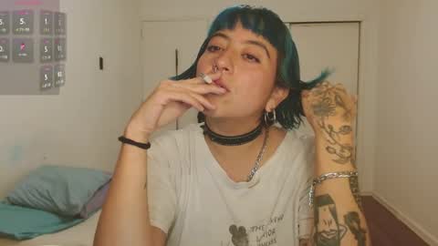 Poly online show from 22, 4, 2026