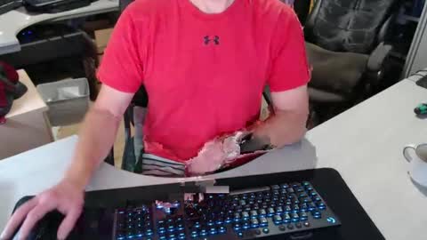 Dave online show from 29, 10, 2025