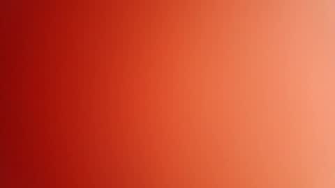 pop297248 online show from 14, 4, 2026