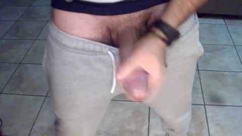 porcellobolognese online show from 25, 11, 2025