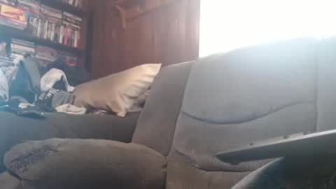 porkingit400 online show from 14, 2, 2025