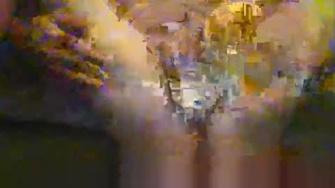 portal3444 online show from 30, 11, 2025