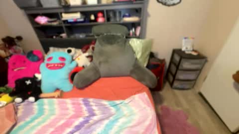 stacy online show from 23, 2, 2026