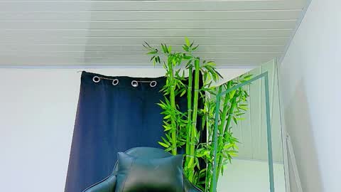 Enzo  Denis online show from 27, 11, 2025