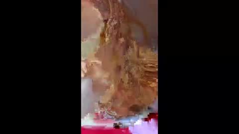 prettymoneychaser online show from 17, 4, 2026