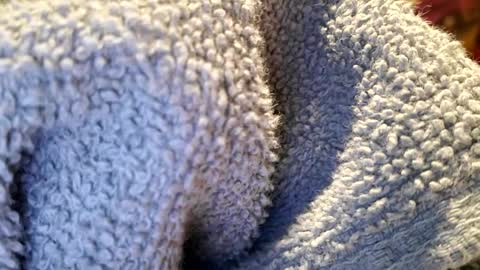 PrettyPrick4U online show from 22, 1, 2025