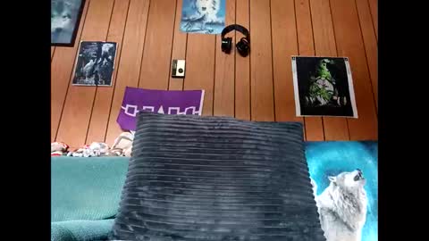 prettysolid7 online show from 13, 10, 2025