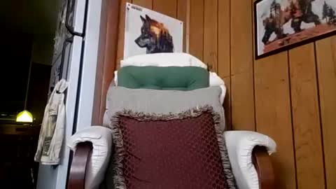 prettysolidd7 online show from 4, 12, 2024