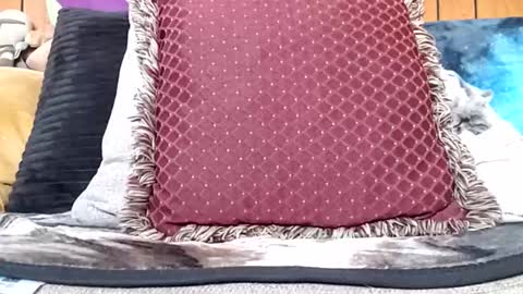 prettysolidd7 online show from 20, 1, 2025