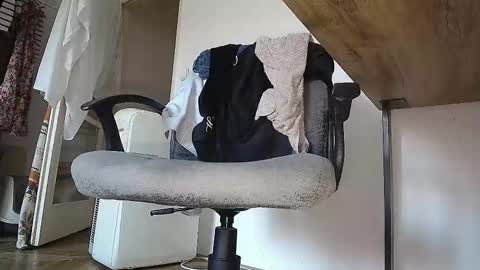 Prince Of Prague online show from 9, 9, 2025