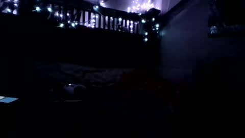 Holly love online show from 15, 11, 2025