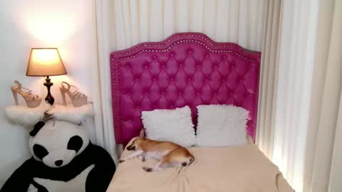 Snapshot of princessyanzy chatting on 13, 9, 2025 princessyanzy1 online show from 13, 9, 2025