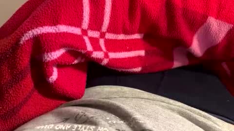 privat2025 online show from 1, 2, 2026