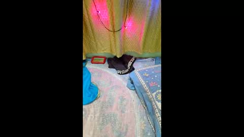 priyachocolaty online show from 9, 2, 2026