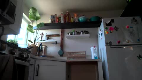 Snapshot of properfuct chatting on 3, 11, 2025 Properfuct online show from 3, 11, 2025