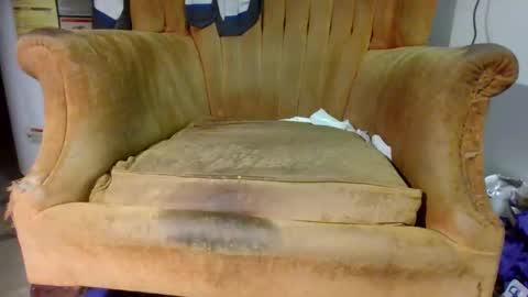 pspee313 online show from 1, 11, 2025