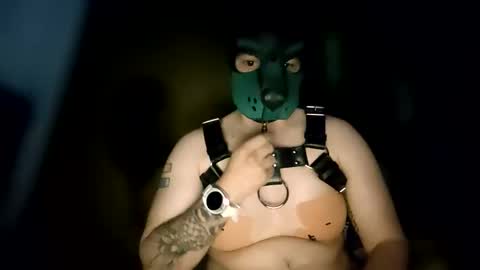 Pup Kori online show from 8, 6, 2026