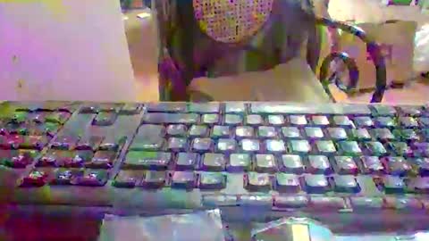 pup_y online show from 10, 1, 2026