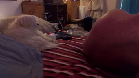 Rick online show from 14, 1, 2025