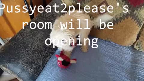 Rick online show from 25, 2, 2025