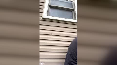 pyrex8 online show from 13, 4, 2026