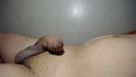 qqqwer21 online show from 30, 1, 2025