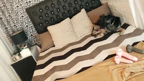 Yeng online show from 5, 3, 2025