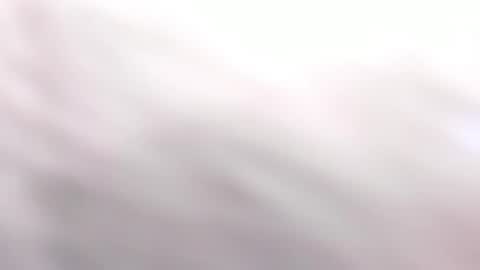   online show from 6, 3, 2025