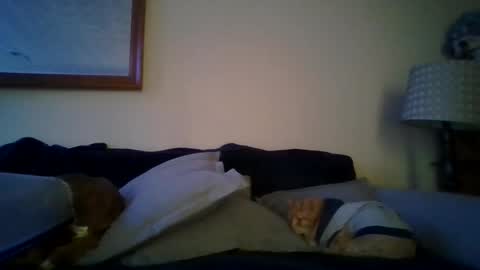 queenbee6269 online show from 6, 2, 2025