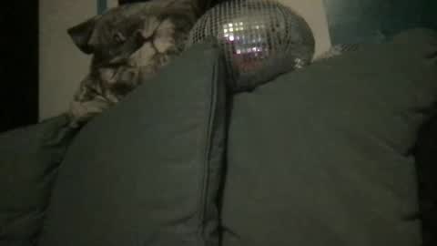 Queen De La Ranch online show from 20, 9, 2025