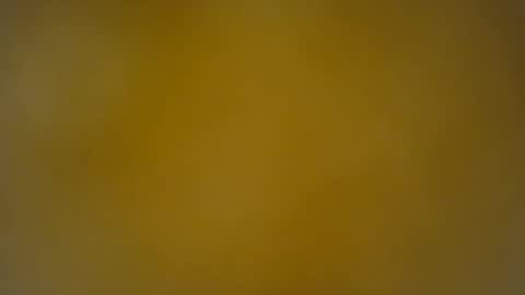 quinnxx online show from 20, 4, 2026