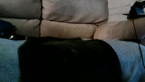 Snapshot of r3710 chatting on 10, 12, 2024 Bi daddy online show from 10, 12, 2024