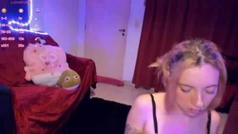 Rabbit Snake online show from 24, 5, 2026
