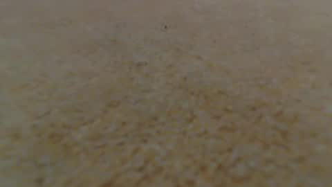 racefliege online show from 14, 1, 2025