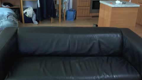 Snapshot of rafaelosteel chatting on 1, 11, 2025 rafaelosteel online show from 1, 11, 2025