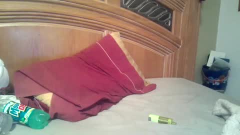 hitman online show from 2, 11, 2025