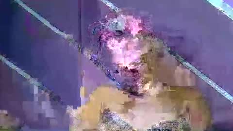 rainbow baby26 online show from 7, 3, 2026