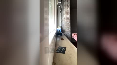 raknar992 online show from 6, 1, 2026