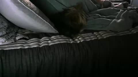 Randy8inbater online show from 12, 1, 2025