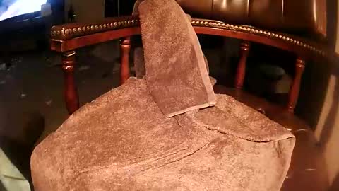 rarvet online show from 19, 3, 2026